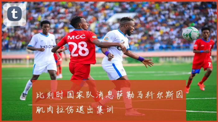 比利时国家队消息萨勒马科尔斯因肌肉拉伤退出集训
