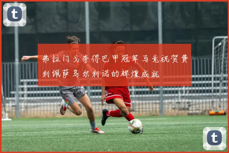 弗拉门戈夺得巴甲冠军马竞祝贺费利佩萨乌尔利诺的辉煌成就