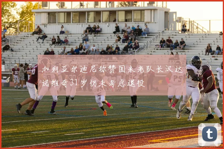 加利亚尔迪尼称赞国米老队长汉达诺维奇31岁仍未考虑退役
