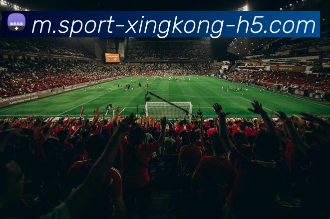 星空体育平台生态图